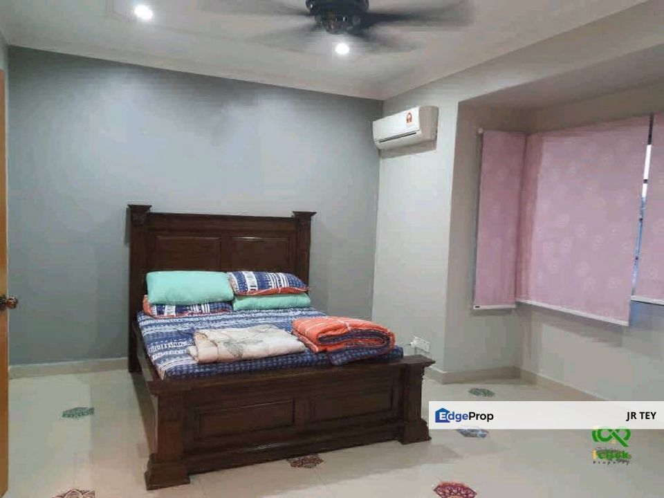 Anggerik Doritis @ Kota Kemuning, Shah Alam, Selangor, Selangor, Shah Alam