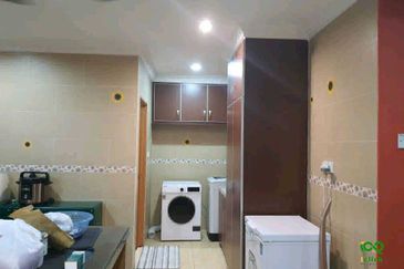 Anggerik Doritis @ Kota Kemuning