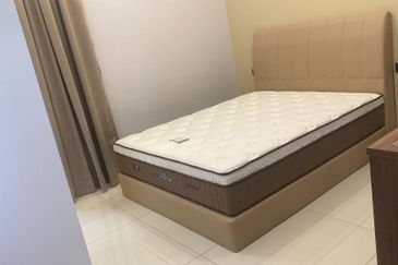 Dremien @ Eco Ardence