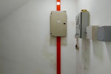 Cradleton @ Eco Majestic