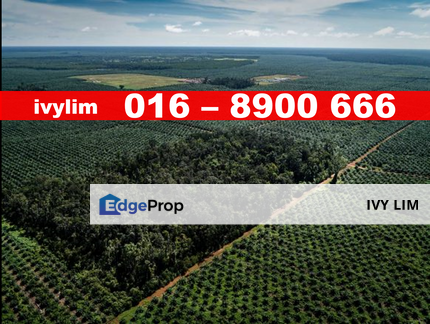 Kapar Agriculture Land For Sale , Selangor, Kapar 