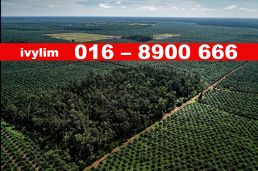 Jenjarom Industrial Land For Rent 