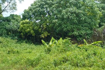 Taman Taynton (Taynton View)