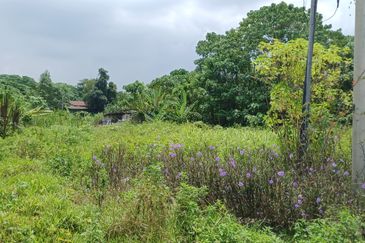 Taman Taynton (Taynton View)