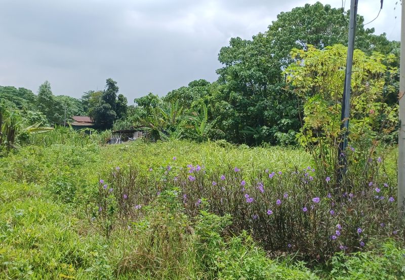 Taman Taynton (Taynton View)