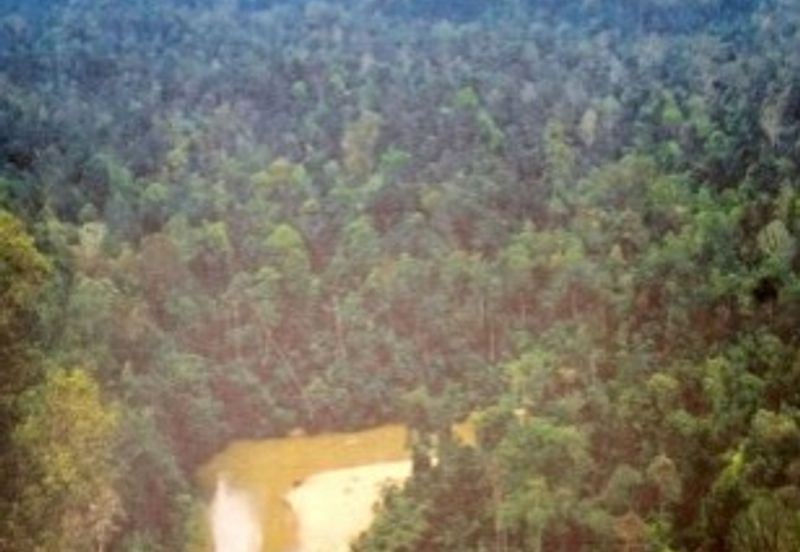 Agricultural Land @ MUKIM HULU TEMBELING, Jerantut Pahang