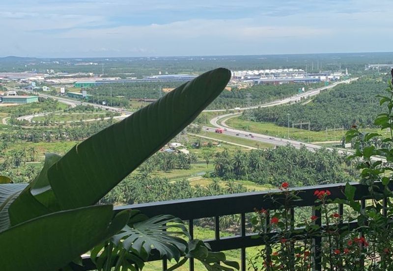 Eco Bloom @ Eco Meadows