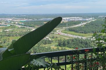 Eco Bloom @ Eco Meadows