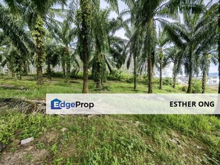 Sendayan Agriculture Land 4.8 Acre Mukim Rasah, Mambau, Seremban 2 Land, Seremban, Negeri Sembilan, Negeri Sembilan, Seremban