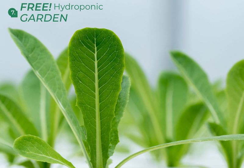 𝐒𝐀𝐌𝐀𝐑𝐈𝐀𝐍𝐆 𝐀𝐕𝐄𝐍𝐔𝐄 Phase 2