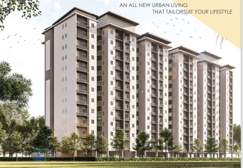 Gizo 11 Service Apartment