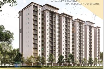 Gizo 11 Service Apartment