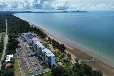 TorQuay @Roxy Sematan