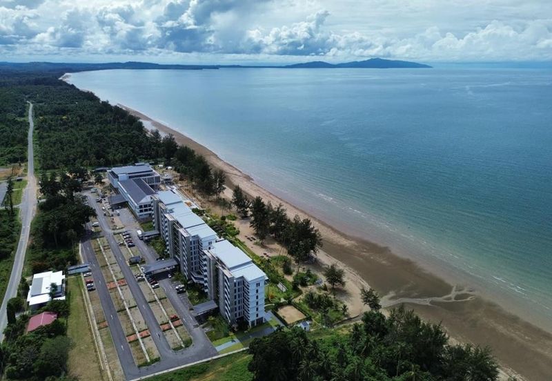 TorQuay @Roxy Sematan