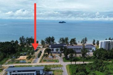 TorQuay @Roxy Sematan