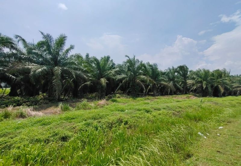 Kapar Industrial Park