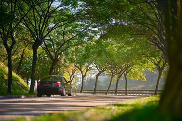 Rafflesia @ The Hill