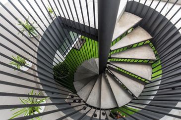 Rafflesia @ The Hill