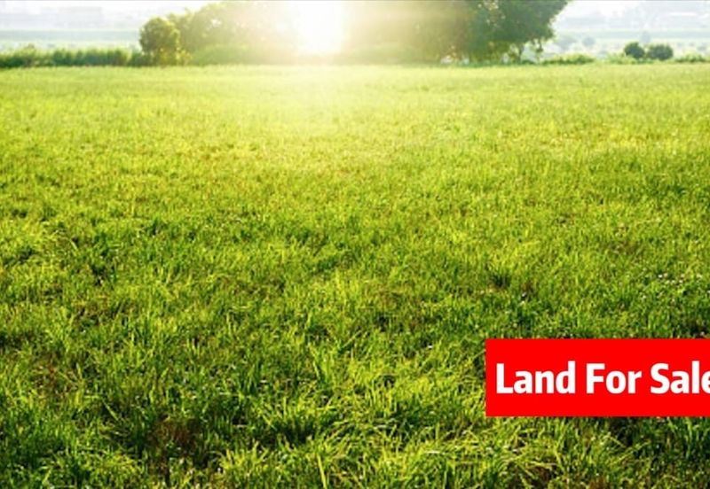 Hi Tech Industrial Park