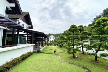 Bukit Jelutong