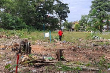 Seksyen 8, Kota Damansara