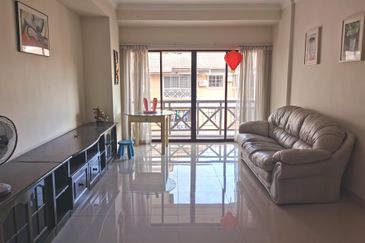 Evergreen Park Acorn and Hazel