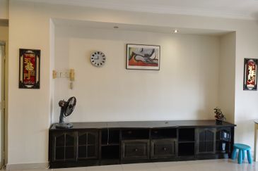 Evergreen Park Acorn and Hazel