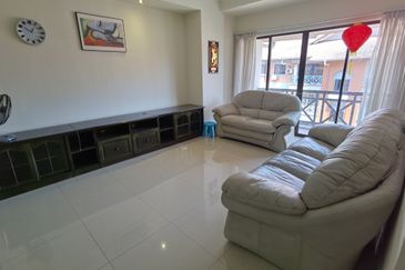 Evergreen Park Acorn and Hazel