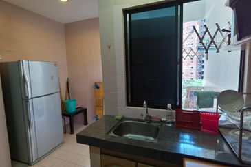 Evergreen Park Acorn and Hazel