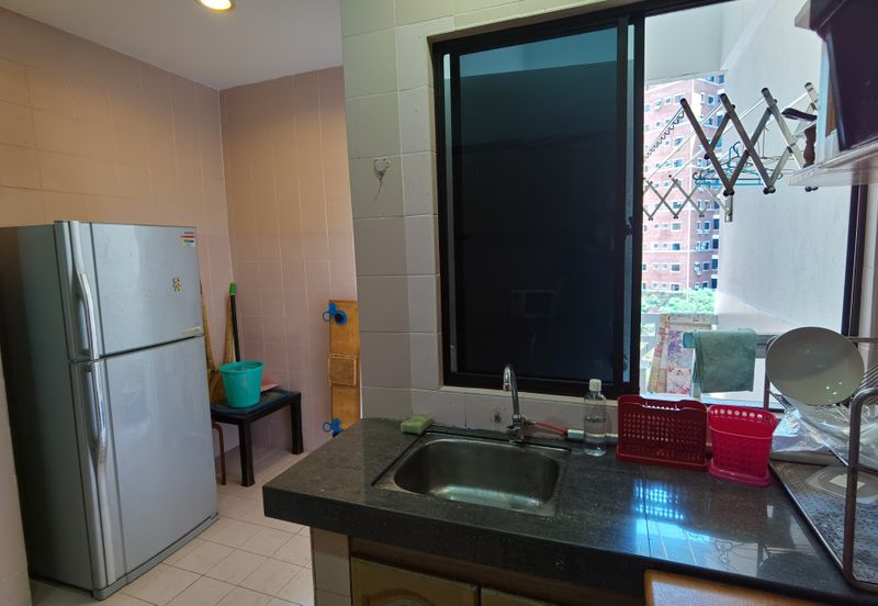 Evergreen Park Acorn and Hazel