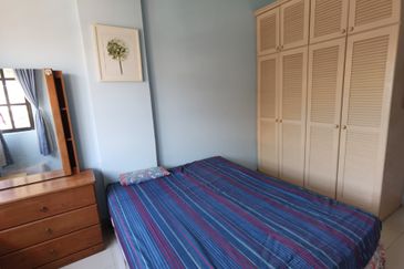 Evergreen Park Acorn and Hazel