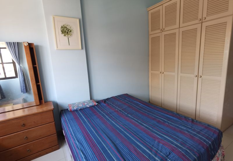 Evergreen Park Acorn and Hazel