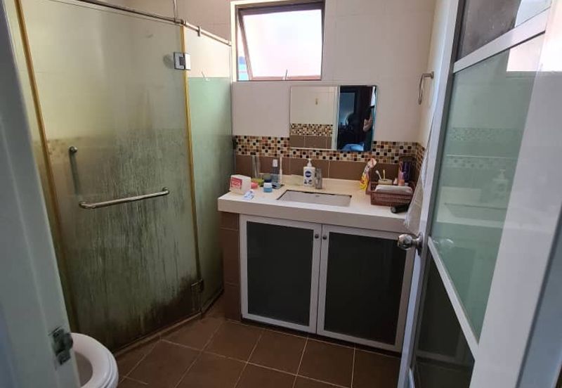 Evergreen Park Acorn and Hazel