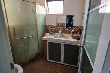 Evergreen Park Acorn and Hazel