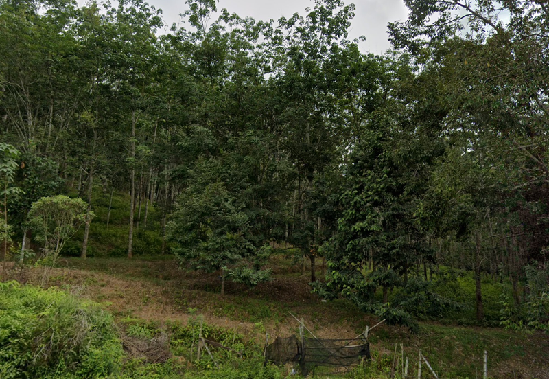 Lakum ,Sematan Temerloh , Agrilculture Land 600 Acre Per Acre Rm15k With Ready Title 