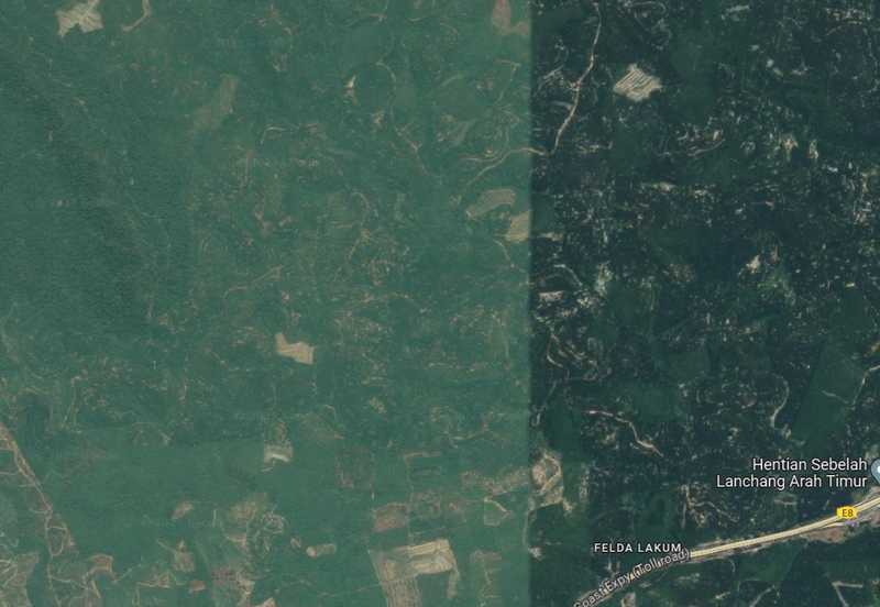 Lakum ,Sematan Temerloh , Agrilculture Land 600 Acre Per Acre Rm15k With Ready Title 