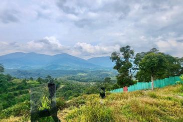 Sungai Lalang, Bukit Semenyih - Scenic High Hill Agri Land with Nice View 🌳