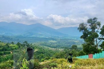 Sungai Lalang, Bukit Semenyih - Scenic High Hill Agri Land with Nice View 🌿