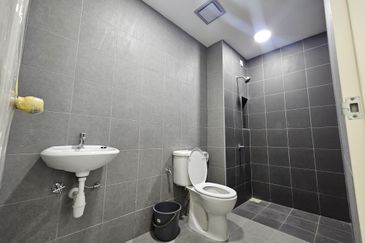 Hazelton @ Eco Forest 3