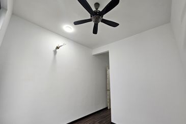 Hazelton @ Eco Forest 3