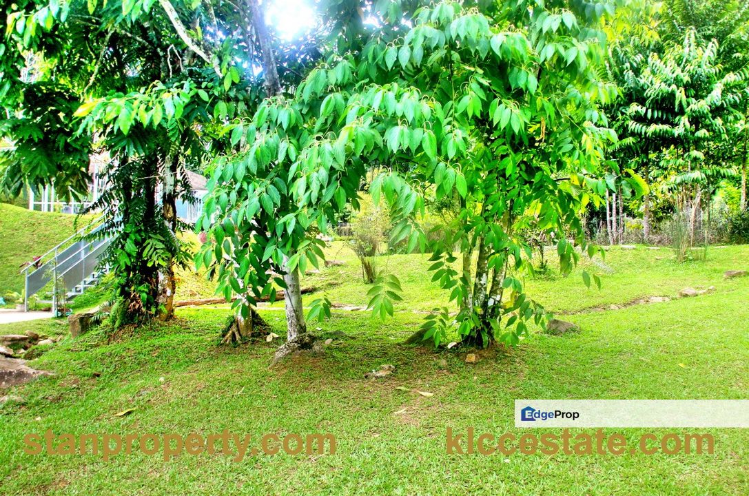 Janda Baik Resort Land, Pahang, Bentong