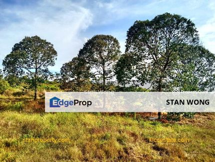 Simpang Petang Mature Durian Farm For Sale, Negeri Sembilan, Jelebu