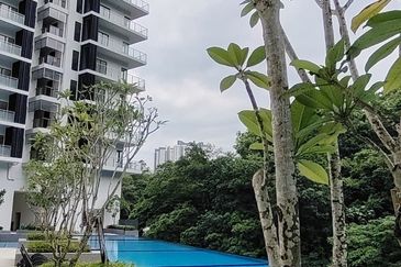 Bukit Gasing, Seksyen 5