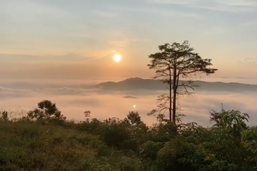 Freehold Agriculture Land @ Karak, Bentong (Water, Electricity, Tar Road with drainage DONE)