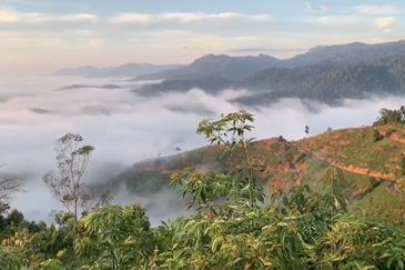 Freehold Agriculture Land @ Karak, Bentong (Water, Electricity, Tar Road with drainage DONE)