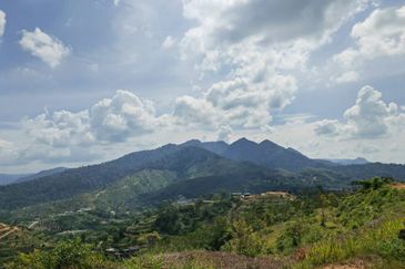 Freehold Agriculture Land @ Karak, Bentong (Water, Electricity, Tar Road with drainage DONE)