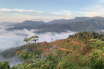 Freehold Agriculture Land @ Karak, Bentong (Water, Electricity, Tar Road with drainage DONE)