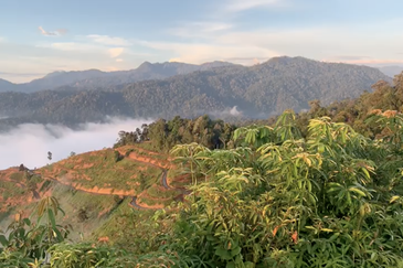 Freehold Agriculture Land @ Karak, Bentong (Water, Electricity, Tar Road with drainage DONE)