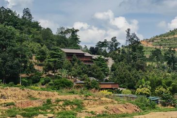 Freehold Agriculture Land @ Karak, Bentong (Water, Electricity, Tar Road with drainage DONE)