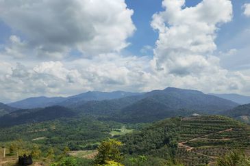 Freehold Agriculture Land @ Karak, Bentong (Water, Electricity, Tar Road with drainage DONE)